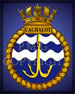 HM Ships 'C'